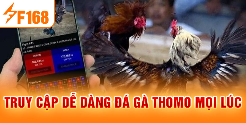 Đá Gà Thomo Là Gì? Ưu Điểm Và Luật Chơi Mới Nhất 2024 Truy cập dễ dàng đá gà Thomo mọi lúc